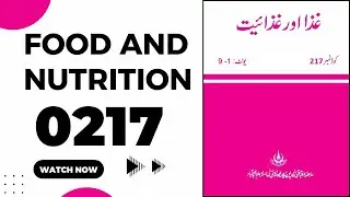 AIOU 217 Guess Paper 2025 Code 217 Past Papers Urdu Important Questions FA I Com