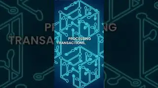 Avail: The Blockchain OS That&rsquo;s Powering the Next Generation of Crypto