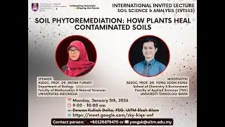 Soil Phytoremediation: How Plants Heal Contaminated Soils