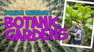 A Walk Around Durham Botanic Gardens
