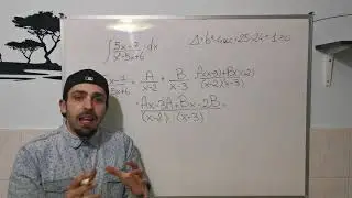 Integrazione Funzioni Razionali - Fratti Semplici - AlexMath