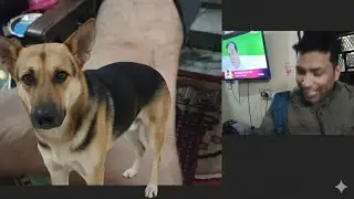 ​Darnak Haadsa! 😱 1st Jan 2026 ko Kutte ne Kaat liya | My Dog Bite Story#rakhidiyanblog 
