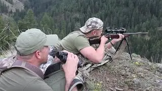 Oregon Spring Bear 2015