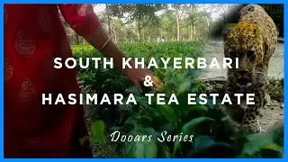 South Khayerbari & Hasimara Tea Estate I Dooars Series I South Khairbari Tiger Rescue Centre