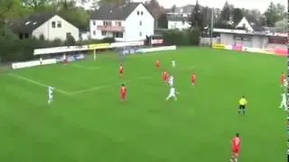BICYCLE GOAL FROM 30 METERS Mich&eacute;l Harrer Next ZLATAN IBRAHIMOVIC