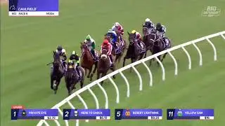 ЧАСТНЫЙ ГЛАЗ - PB Lawrence Stakes 2025 (3 года+ WFA G2) Группа 2 Колфилд 16 августа