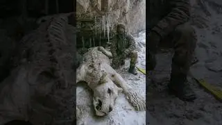 Frozen Cave Lion With Open Eyes Found in Russian Ice