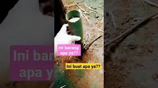 Kepo dikit