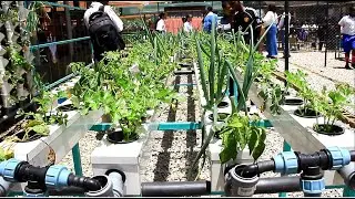 Climate-Smart Agriculture