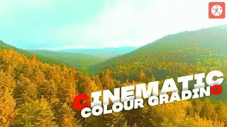 Cinematic Colour Grading In Kinemaster!