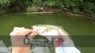 Throwing Small Jigs on a Local Lake