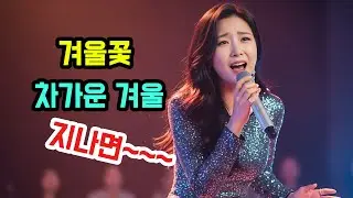 겨울밤의 위로 🌙 깊은 감성의 트로트 / 🎵 차가운 밤을 녹이는 노래 ❄️ '겨울꽃'