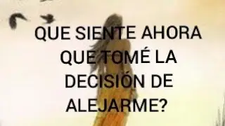 QUE SIENTE AHORA QUE TOMÉ LA DECISIÓN DE ALEJARME? ❤️ TAROT INTERACTIVO