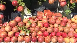 bila kinaa | مهرجان الرمان بتستور في نسخة خاصة كما لم تشاهده من قبل..أجواء خيالية رغم الأوضاع