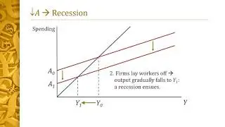 The Aggregate Expenditure (AE) Model