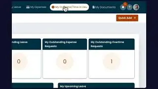 Schedulize - How to Submit Time in Lieu