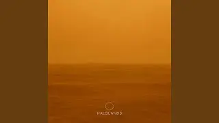 Experience