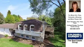 25039 West Kay Drive, PLAINFIELD, IL Presented by Terri Theodore The Theo Team.