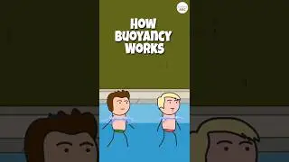 C&oacute;mo funciona la flotabilidad: La ciencia de flotar en el agua.