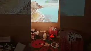 Как туда запрыгнуть,хочу рыбку половить!!! #приколыскотами  : Оригинал