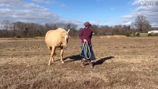 December Horsemanship Challenge 