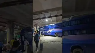Sudden Trip with ZING BUS #minivlog