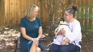 Pet of the Week: Echo, the Rat Terrier-Mix