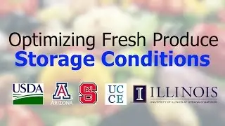 Optimizing Fresh Produce Storage Condition