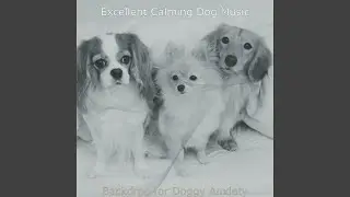 Excellent Relaxing Dogs