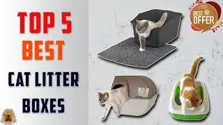Top 5 Best Cat Litter Boxes in 2022 [Review] - On The Market Today