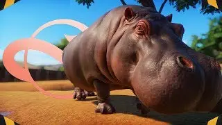 My BEST ZOO Yet! New Custom Zoo Build  | Planet Zoo (Franchise Mode)
