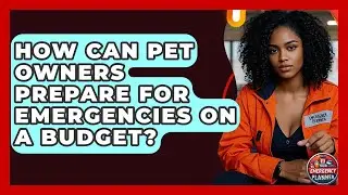 How Can Pet Owners Prepare For Emergencies On A Budget? - Your Emergency Planner