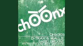 Basic Groove (Borce Panov Remix)