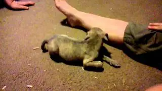 VID 20110724 151831