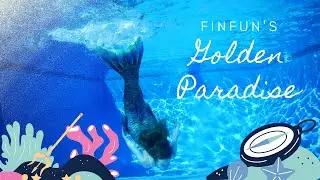 FinFun's Golden Paradise Mermaid Tail Swim!
