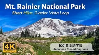 Mt Rainier National Park | Paradise Hike | Glacier Vista Loop via Alta Vista