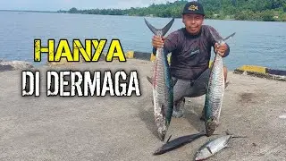 casting ikan tenggiri DERMAGA PAPUA