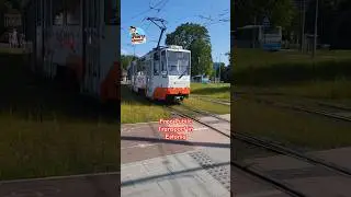 นั่งฟรี รถขนส่งสาธารณะ ที่เอสโตเนีย Free Public Transport in Estonia