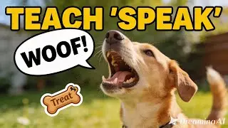 How to Teach Your Dog to Speak on Command (Step‑by‑Step)
