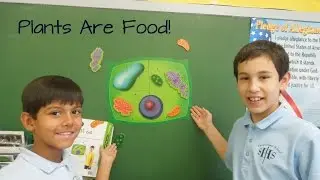 Science Podcast: Plants Are Food!