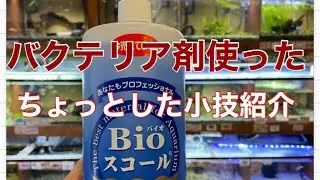 バクテリア剤使ったちょっとした小技紹介