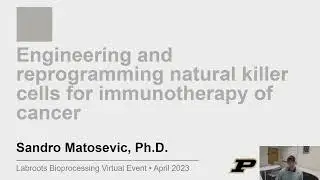 Engineering and Reprogramming Natural Killer Cells for Immunotherapy of Cancer
