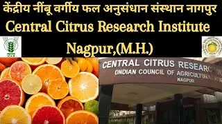 CCRI-Central Citrus Research Institute, Nagpur | केंद्रीय नींबूवर्गीय फल अनुसंधान संस्थान नागपुर