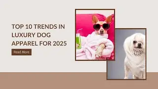 Top 10 Trends in Luxury Dog Apparel for 2025