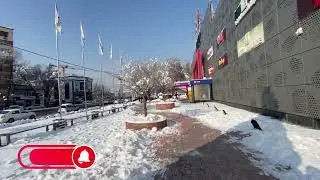 Трейлер записан в Ташкенте, Узбекистан о почти кругосветной путешествии