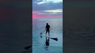 Evening Paddle Board  🌊#paddleboarding #sup #standuppaddle #paddleboard #paddle #suplife
