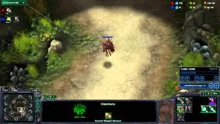 Learning SC2 [HotS] Day 3 - Game 1 Ling rush ZvZ