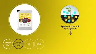 Problems of salinity, sodicity and alkalinity in the soils?