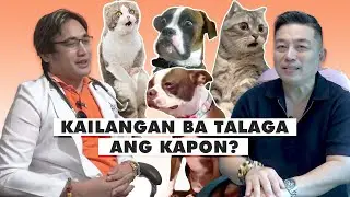 EPISODE 01 | KAPON | SPAY OR NEUTER