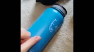 Swig Savvy'Stainless Steel Vacuum Insulated Water Bottle Review